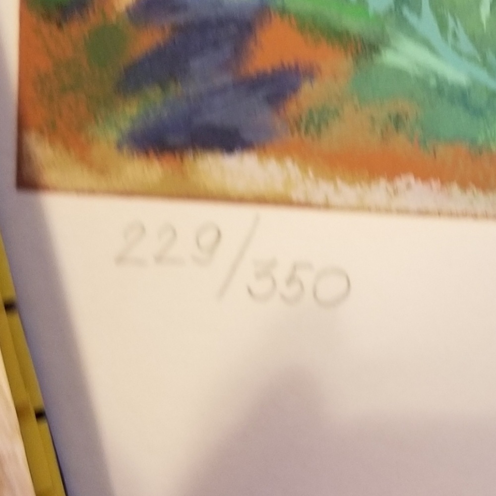 💥SOLD SOLD SOLD💥 print 37" x 30" - Picture 4 of 5